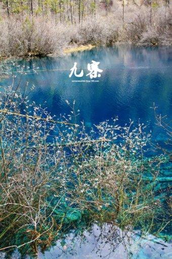 塞伯利亚之谜3